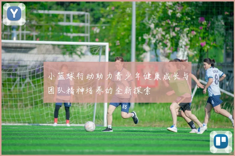 小篮球行动助力青少年健康成长与团队精神培养的全新探索