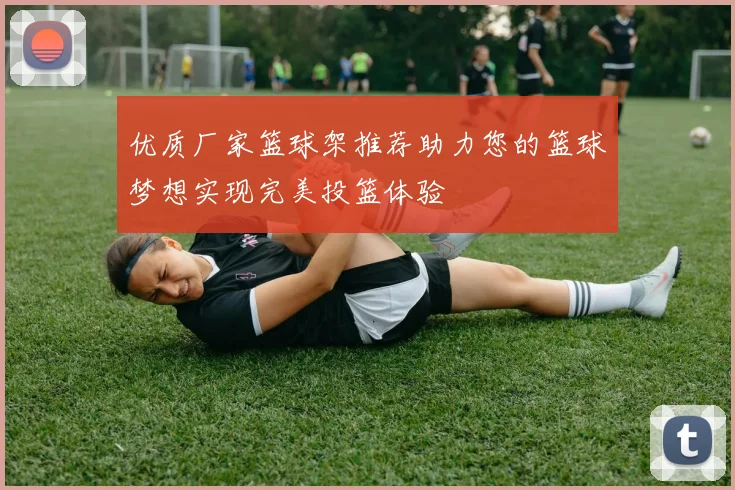 优质厂家篮球架推荐助力您的篮球梦想实现完美投篮体验