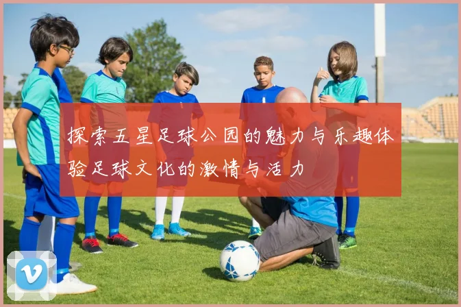 探索五星足球公园的魅力与乐趣体验足球文化的激情与活力
