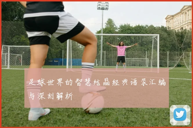 足球世界的智慧结晶经典语录汇编与深刻解析