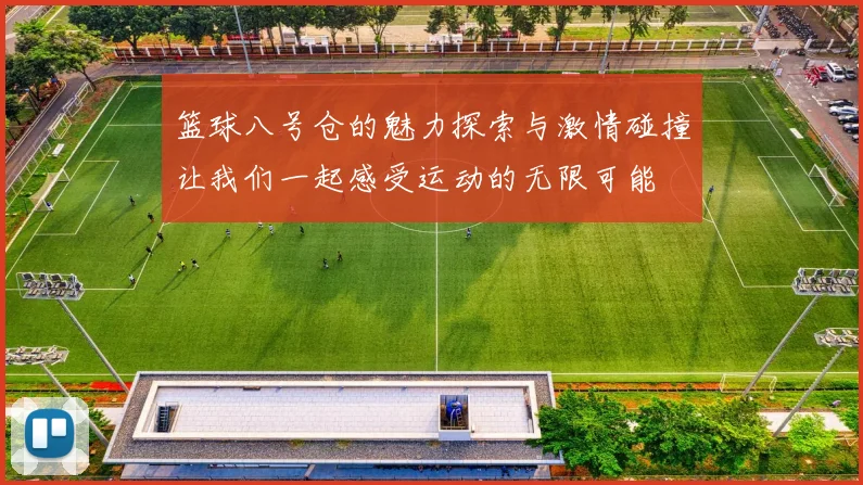 篮球八号仓的魅力探索与激情碰撞让我们一起感受运动的无限可能