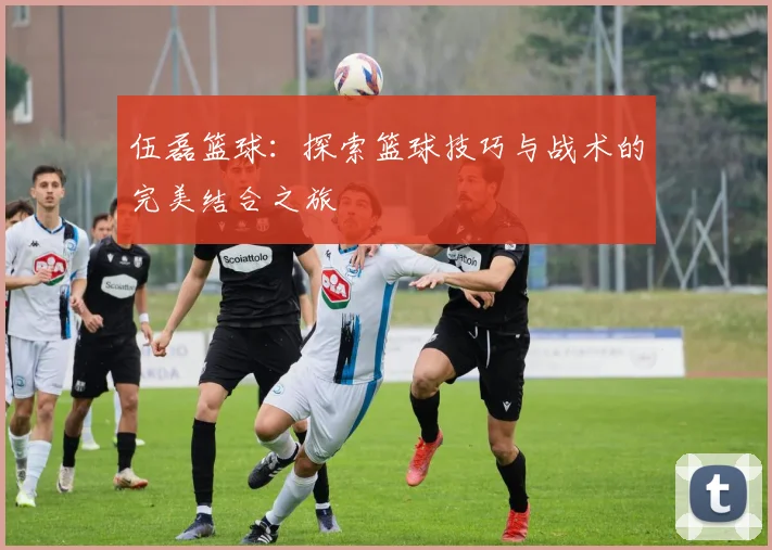 伍磊篮球：探索篮球技巧与战术的完美结合之旅