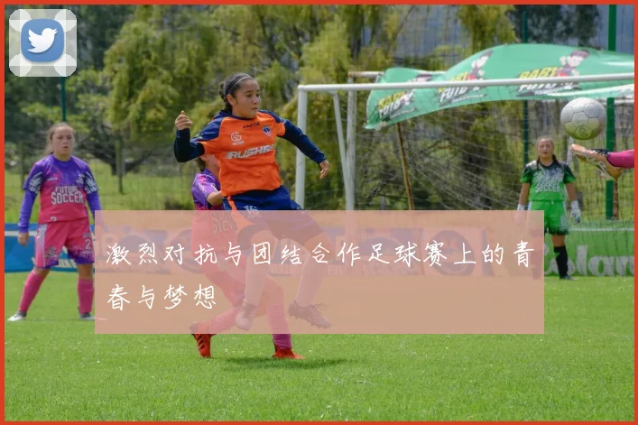 激烈对抗与团结合作足球赛上的青春与梦想